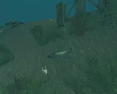 活水