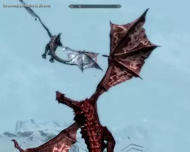 狼龙测试版