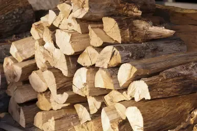 木柴状态变化