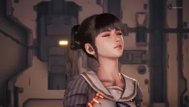 发型带发夹