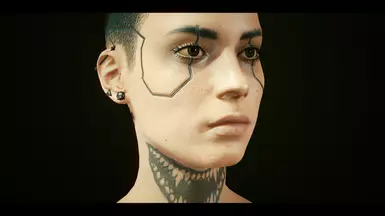 德克斯的游骑兵V预设
