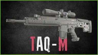MWII TAQ-M