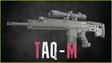 MWII TAQ-M