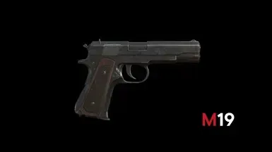 M19 替代惩罚者