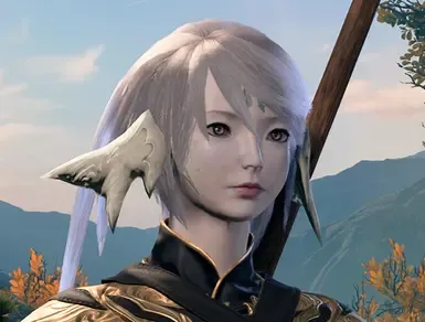阿雅模组 - FFXIV 敖龙族面部发型与角饰