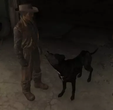 Tonka 掠夺者犬的纹理