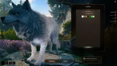 可玩的恐狼种族