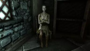 希尔嘉酒馆女招待服装