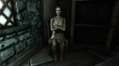 希尔嘉酒馆女招待服装