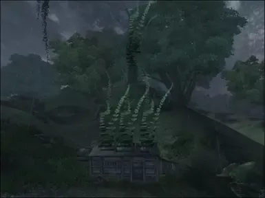 秘密小屋