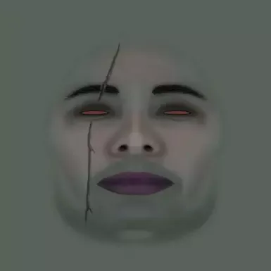 伤痕累累的黑暗精灵