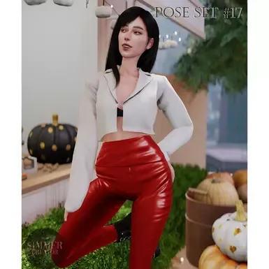 姿势集 17