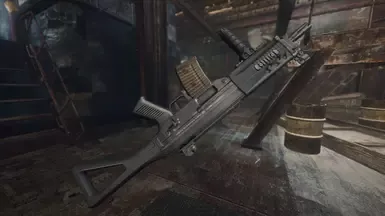 SIG SG552 与 SIG 母马腿 定制版-中文
