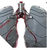 Synlungs 等级缩放(v1.63 HF2 旧版模组)