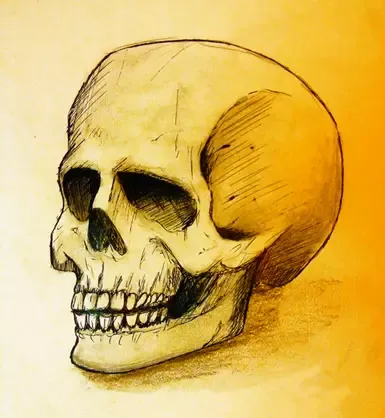 全员死亡