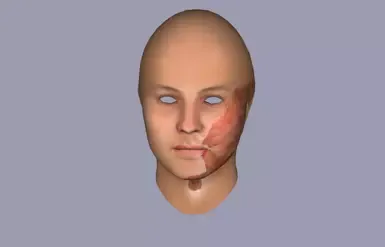 诺德斯卡