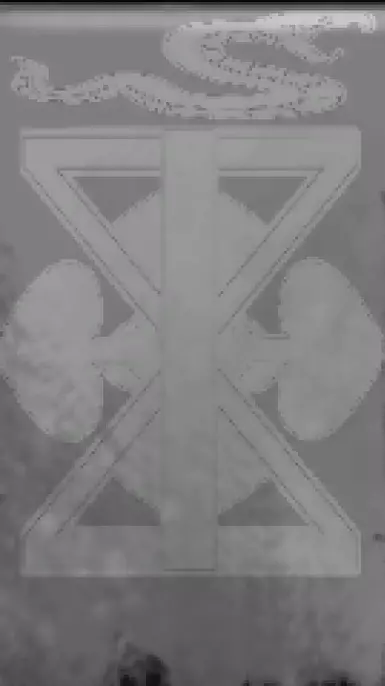 杰塔巴迪亚卫队