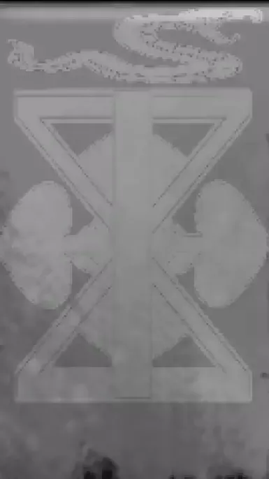 杰塔巴迪亚卫队