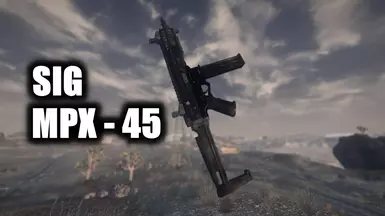 SIG MPX - 45