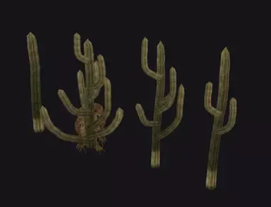 SpeedTree 仙人掌资源
