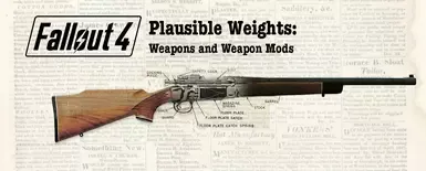 合理的重量 - 武器与武器模组
