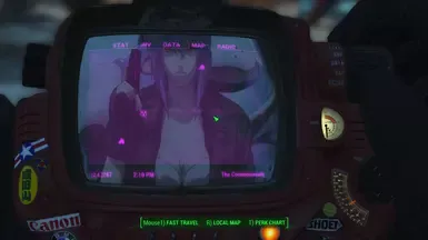 GitS 草薙素子 Pipboy 背景