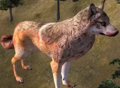 亚种多样性包1:犬科特辑