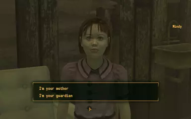 年轻女士