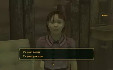 年轻女士