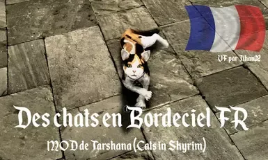 天际中的猫 SSE