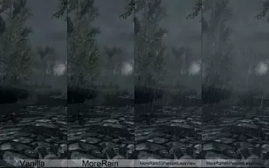 更多雨水
