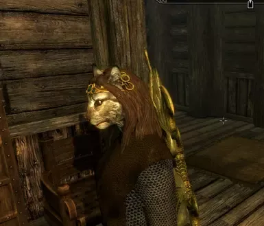 Khajiit 耳环