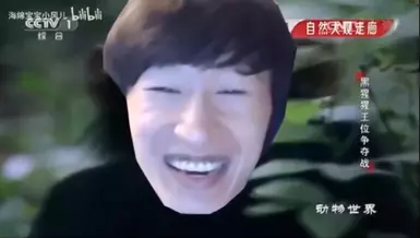 奥托斩斧音效模组