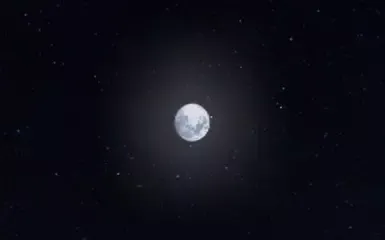 奥尔托之夜
