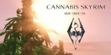 1
天际大麻
