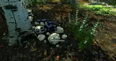 《超越天际》植物重生修复特别版