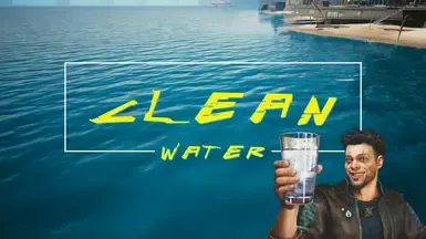 清洁的水