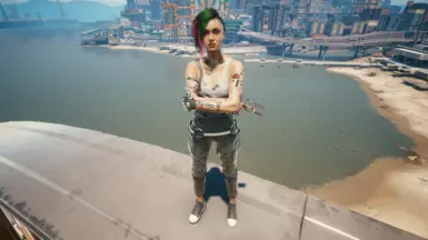 朱迪交换 V