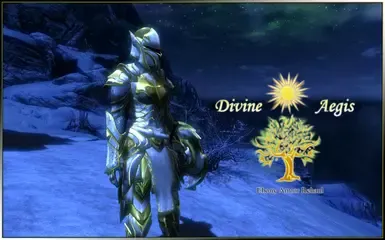 神圣庇护HD - 圣骑士风格乌木护甲重制