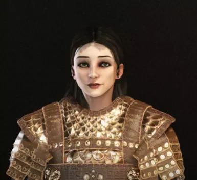 角色预设