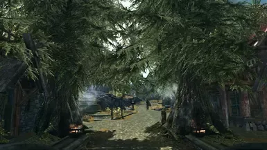 白跑绿