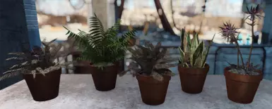 伊莉的可制作花盆