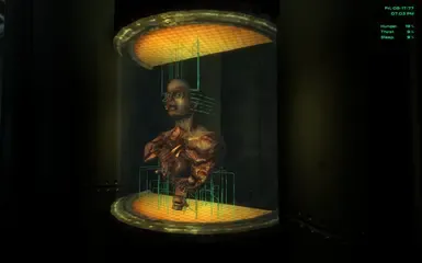 隐秘圣所