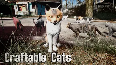 可制作的猫咪