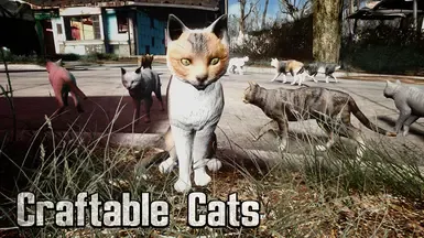 可制作的猫咪