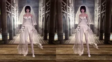 白羽婚纱 - UNP版 - 从MMD到天际