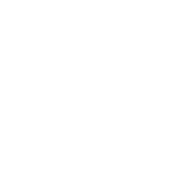 大炮化学
