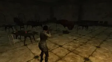 佣兵装备改进版 FNV