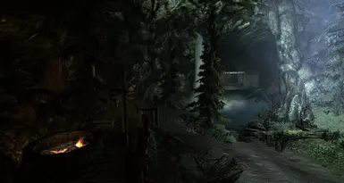 苔藓母巢洞穴玩家之家