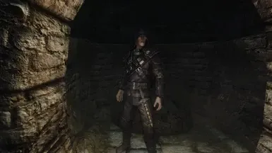 黑卫与公会会长护甲附魔交换器